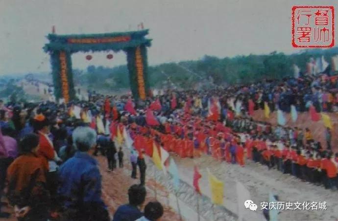 寸阴若岁的意思,寸阴若岁结局解析