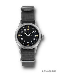 iwc万国飞行员款,iwc万国全新40mm万国飞行员腕表