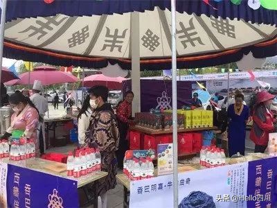 拉萨雪顿节去哪玩,雪顿节假期