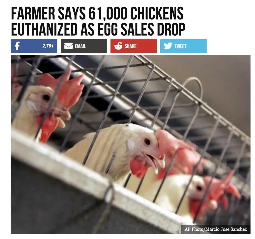 黑天鹅后灰犀牛：倒牛奶到负油价，完美风暴加剧经济滞胀