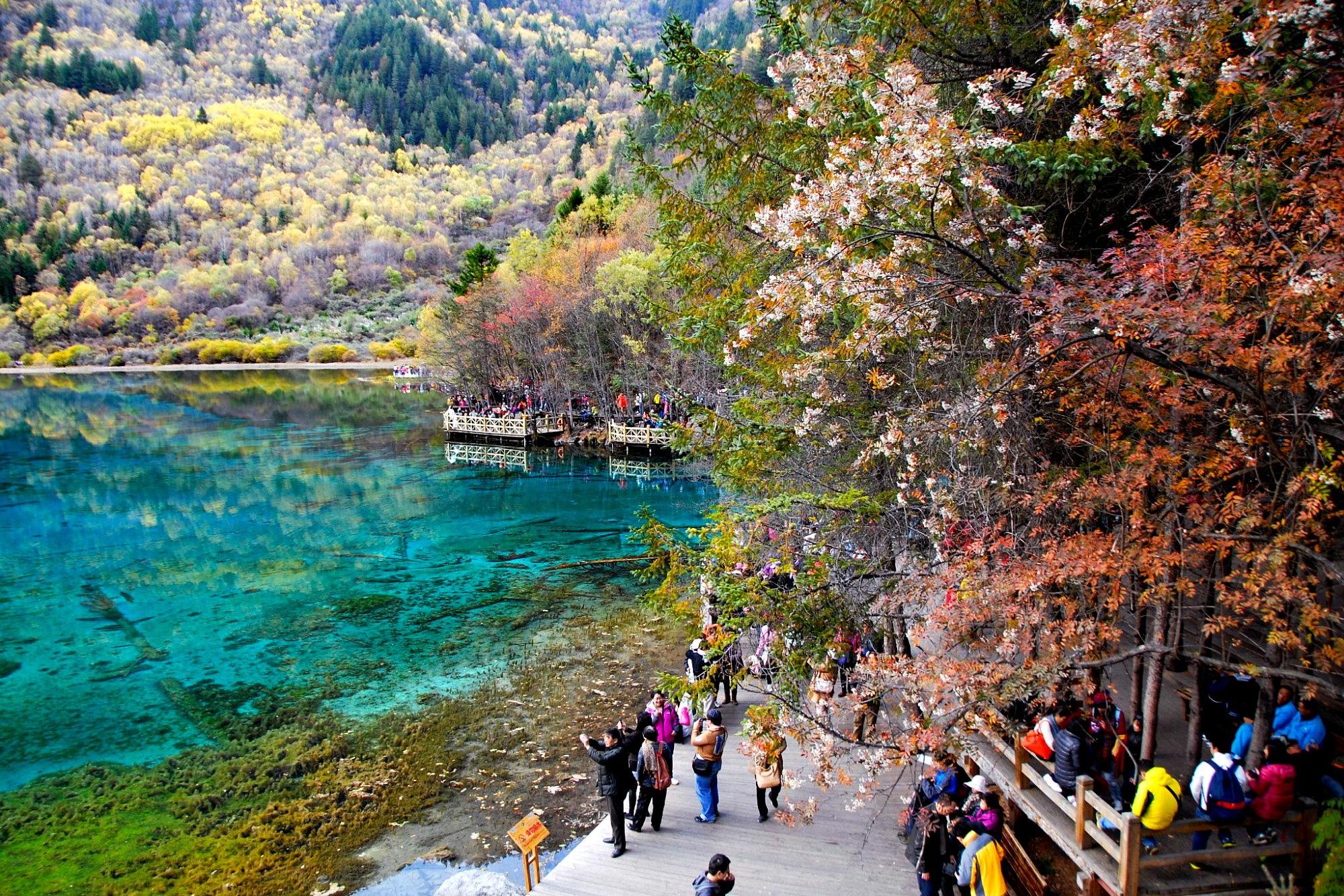 打卡网红地四川旅游胜地,四川天府新区网红打卡景点
