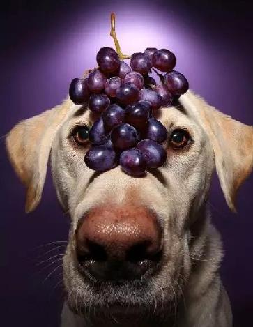 这五种水果有毒你吃了吗,这5种人要慎重吃香蕉