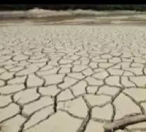 美容针讲解视频,美容针解析