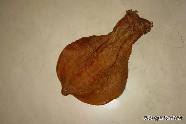 鱼胶冻的保质期,鲜炖鱼胶保质期