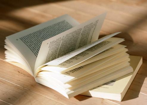 网络文学，了解的开始是熟悉