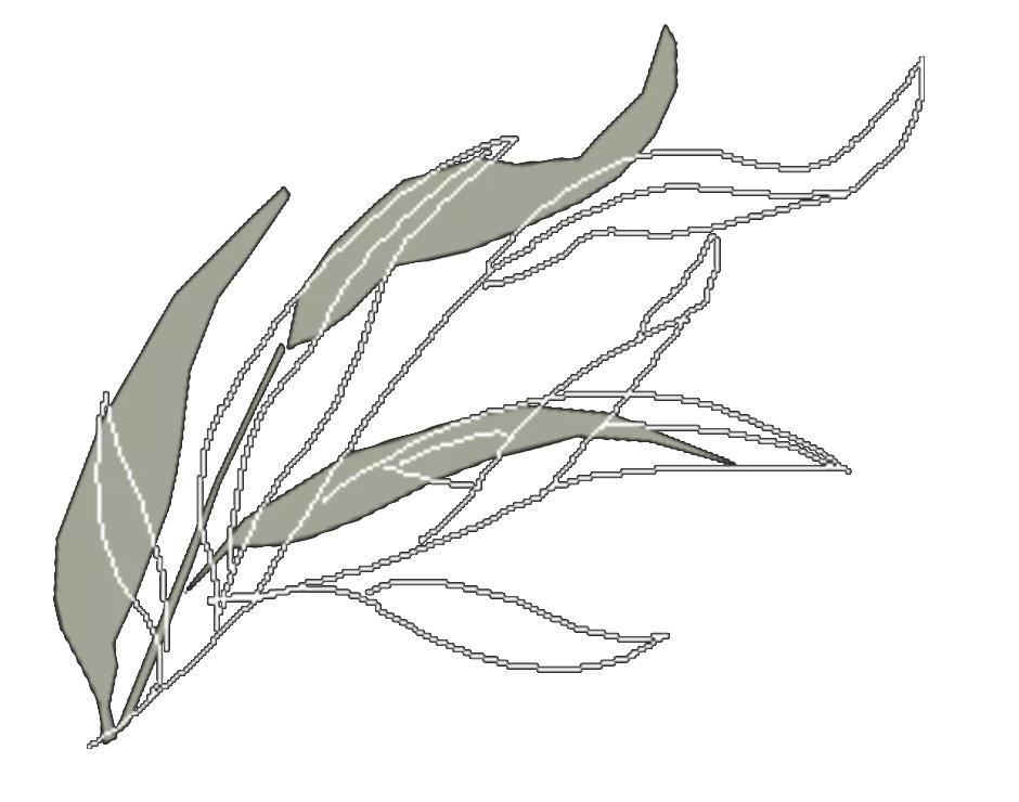 强势围观这所五星级初中——南京市第十三中学红山分校