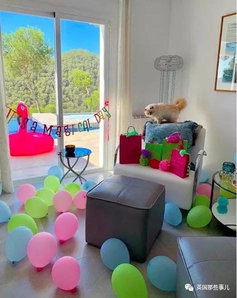 老佛爷的猫继承多少遗产,老佛爷去世后财产留给了一只猫