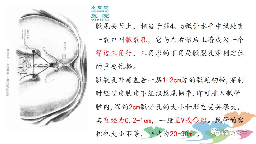 局麻药中毒的术前用药口诀,局麻药中毒临床表现及处理流程ppt