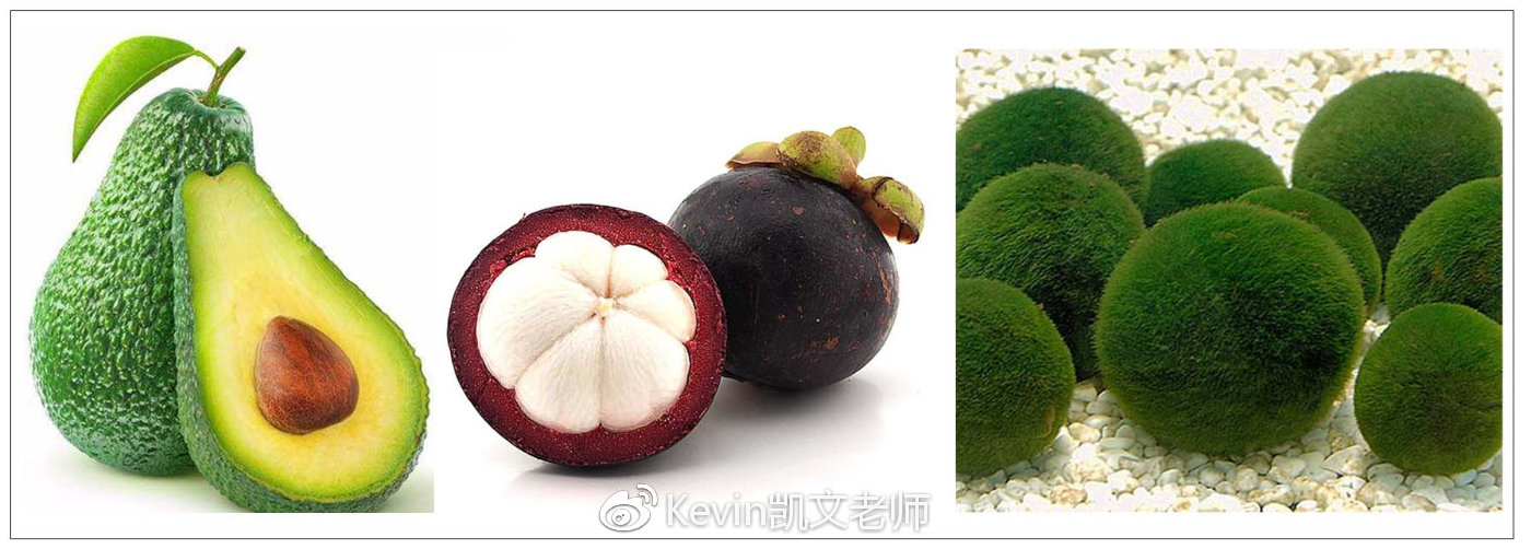 boz宝致皮肤解析,boz宝致为什么这么火