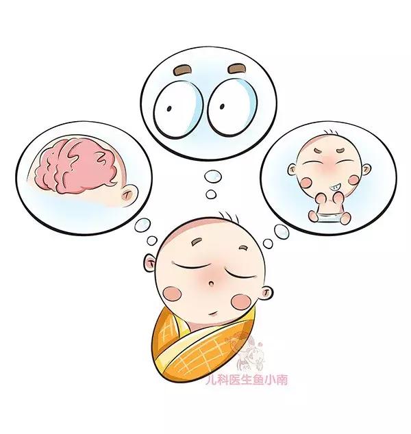 dha能不能放在食物里面宝宝吃,什么食物含有dha有助胎宝宝发育