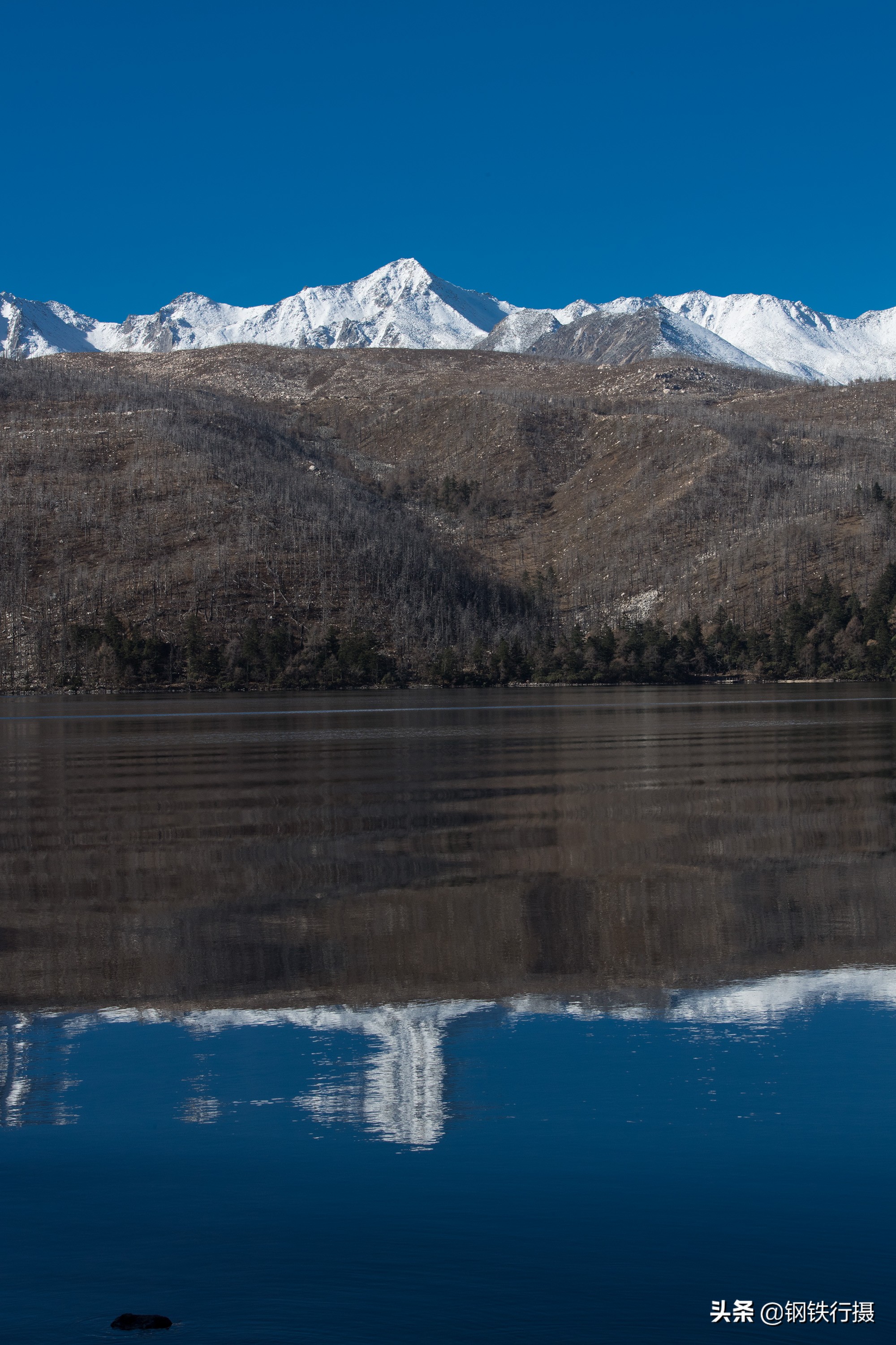 木格措秋景视频,木格措景区秋天风景