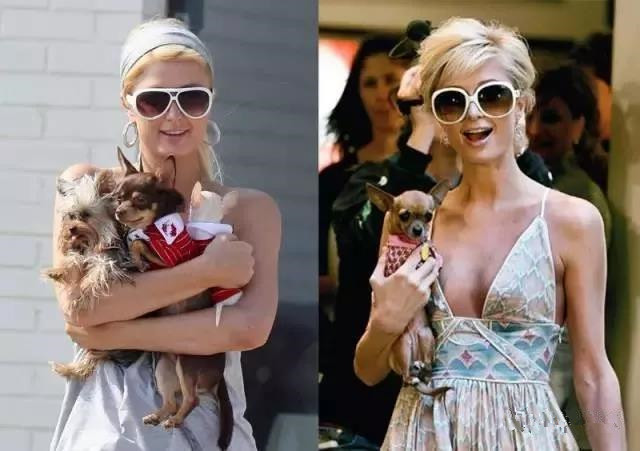 出生在贫民窟的卡戴珊,身价千万卡戴珊