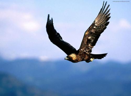 书山有路，莫让年华虚度——与我初一的学弟学妹们说说心里话