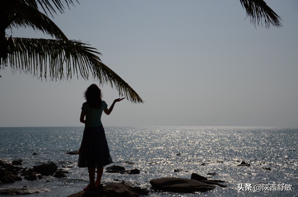 快意舒写真性情——舒敏其人其文，文/董刚