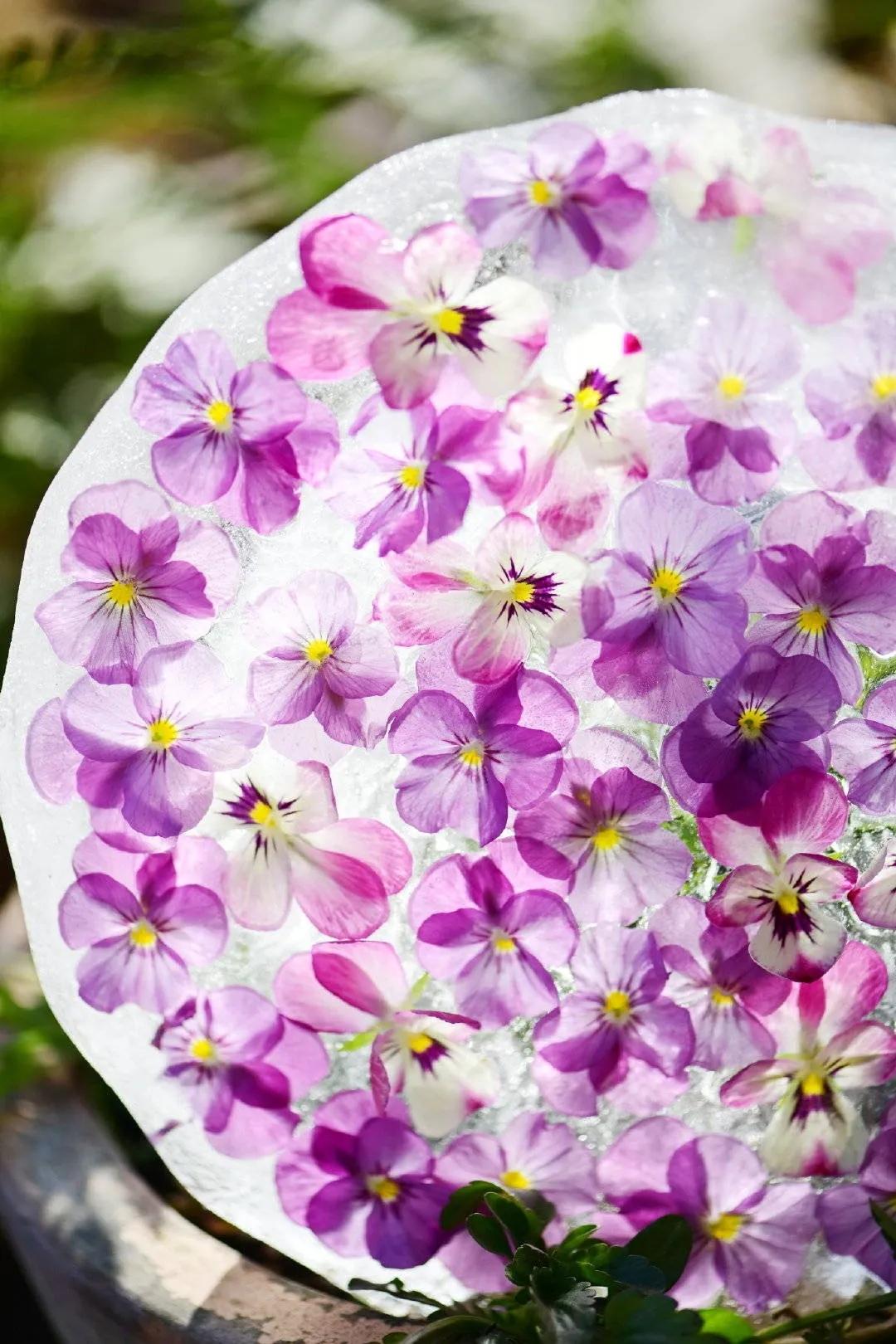 寒潮来袭，你的阳台也能开出这样的“水晶花”