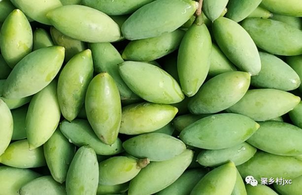 重庆江津石蟆青果,江津石蟆青果