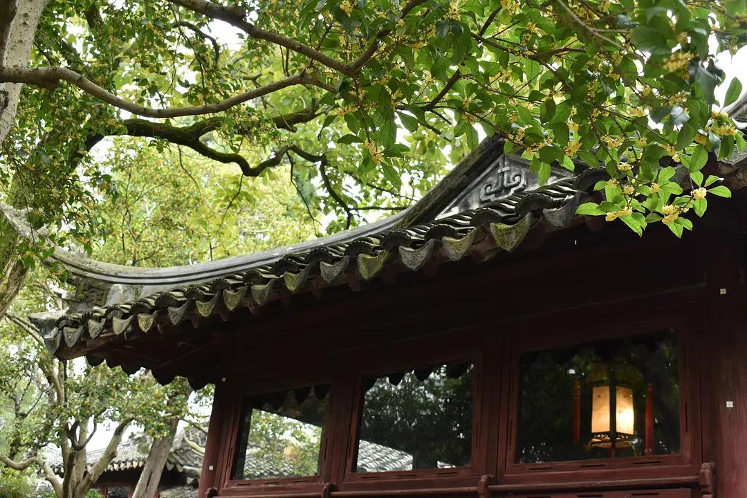 苏州城东北隅的赏桂佳处——耦园
