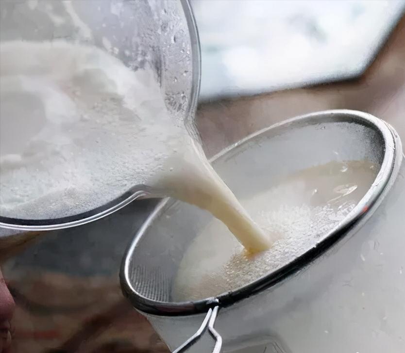 土塘水花鱼苗培育成活率,水花鱼苗养殖投喂什么饲料