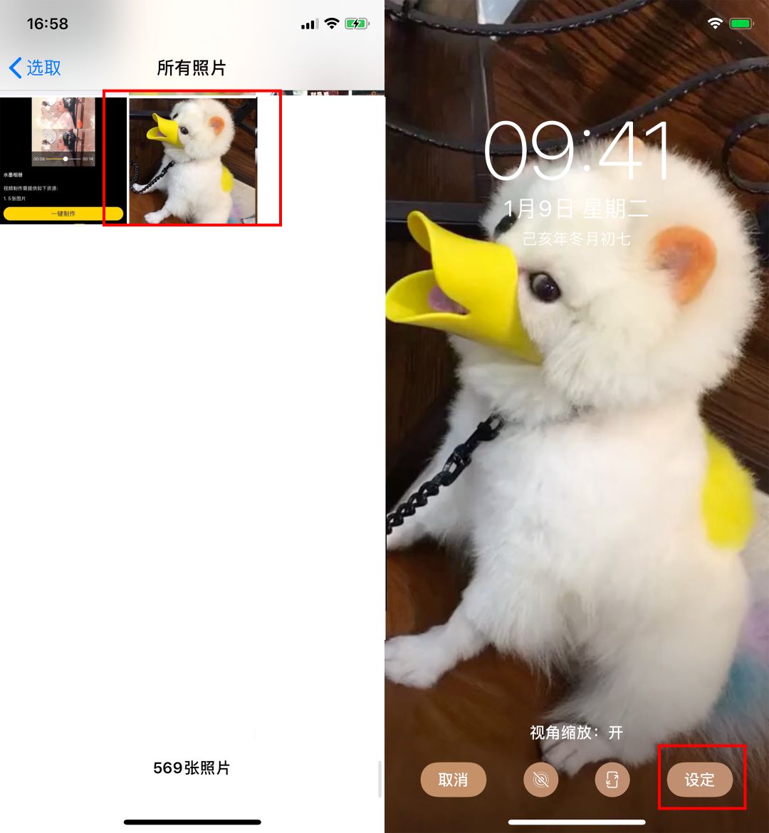苹果手机怎样设置动态壁纸带声音,用了这么久苹果才发现的手机技巧