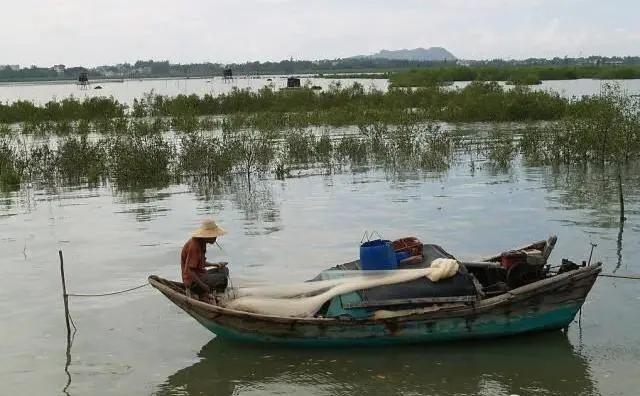 一线特稿:*江阳**“船”说