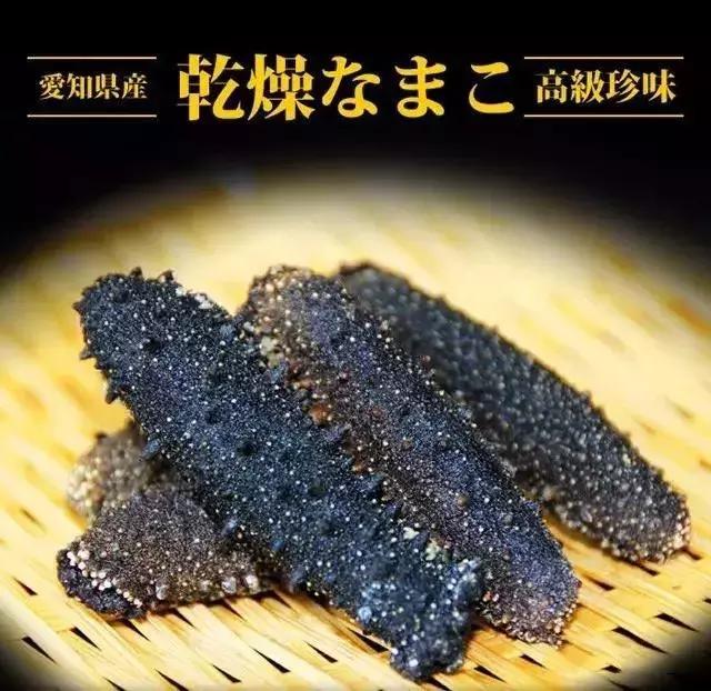 海参的高级介绍,海参营养丰富可你真的了解海参吗