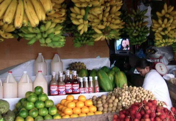 菲律宾主要农产品是什么,菲律宾向中国出口哪些农产品