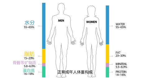 骨灰是什么东西,骨灰主要是什么元素