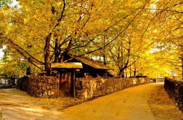 云南建议租车自驾游吗,云南租车游最佳攻略