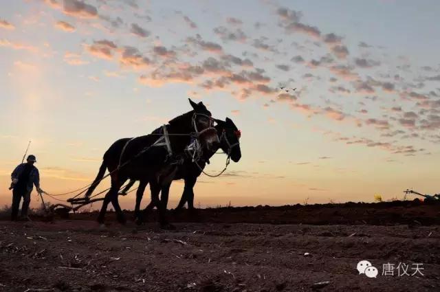 我……把锹插入土中，试探地的墒情。