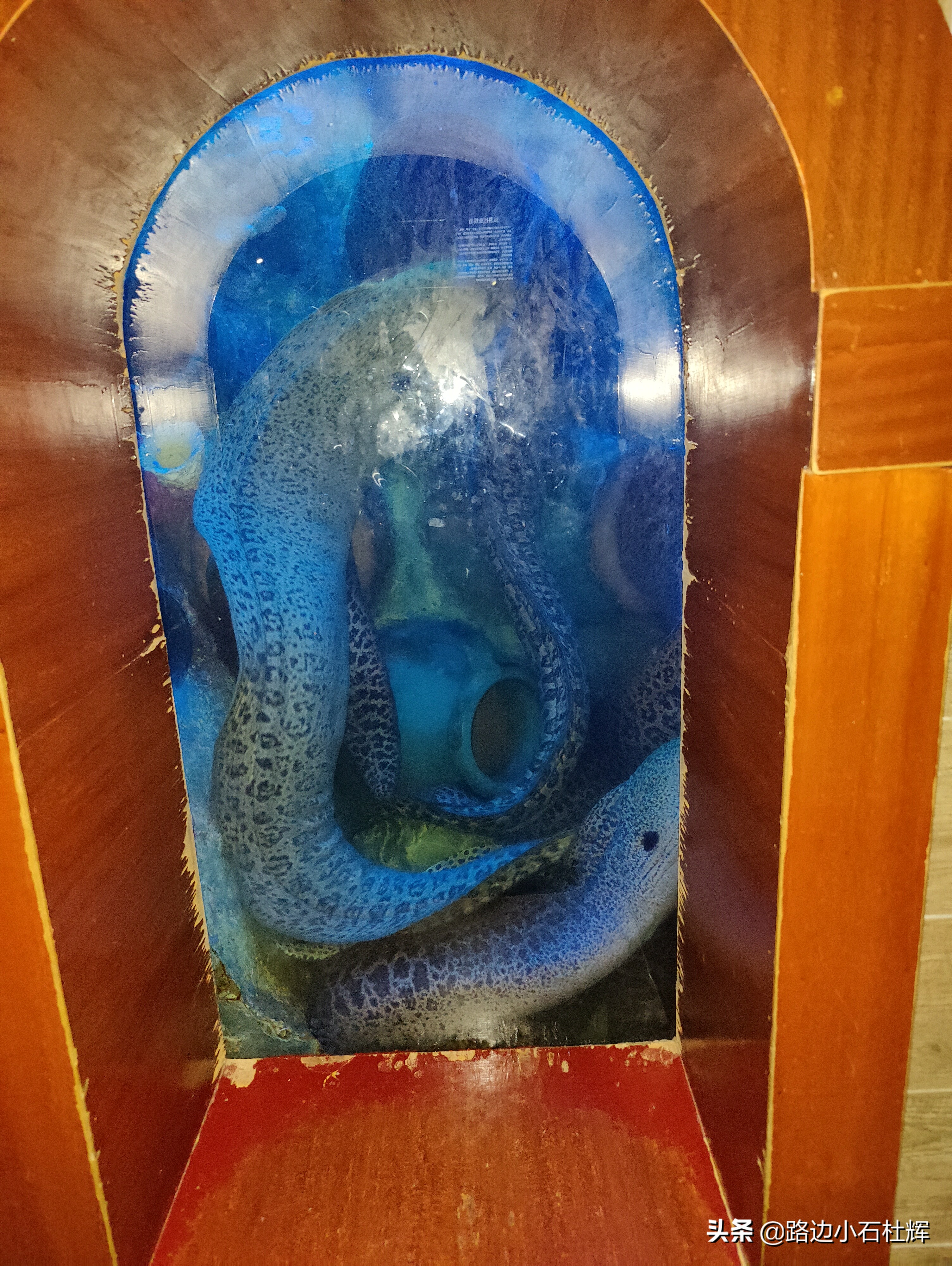 北京海洋馆海底世界和动物园攻略,游北京动物园海洋馆