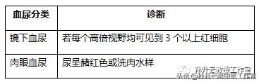 尿中怎么会有红细胞、白细胞？什么毛病？