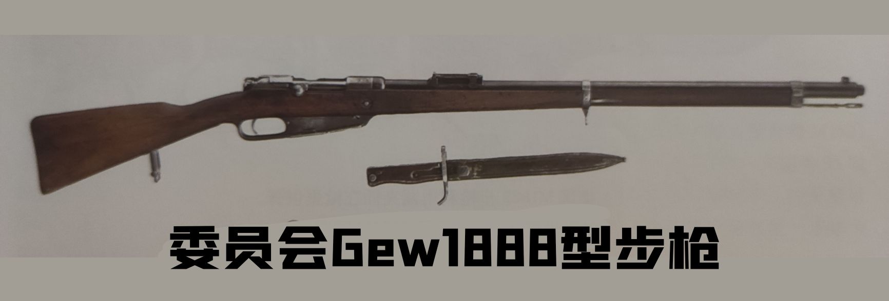 英国枪史图册全篇,德国枪图片