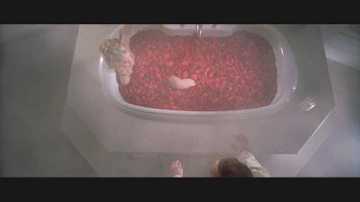 美国丽人风格,美国丽人美国风