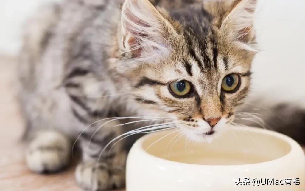 做好这几点远离呼吸道疾病,做好这八点让你轻松管理