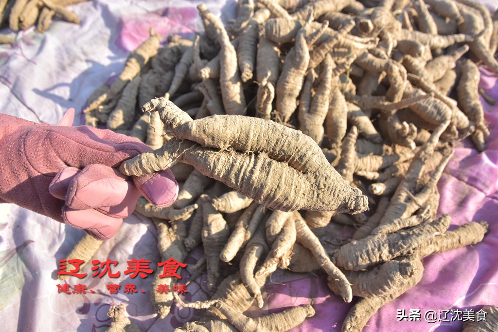 红烧明太鱼大酱,东北大个逛东北早市