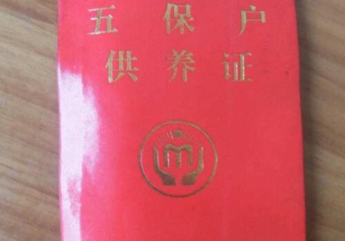 农村孤寡老人怎样申请五保政策,农村申请五保要哪些条件