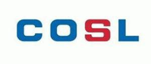 石化油服2018年业绩,油服公司2019年业绩