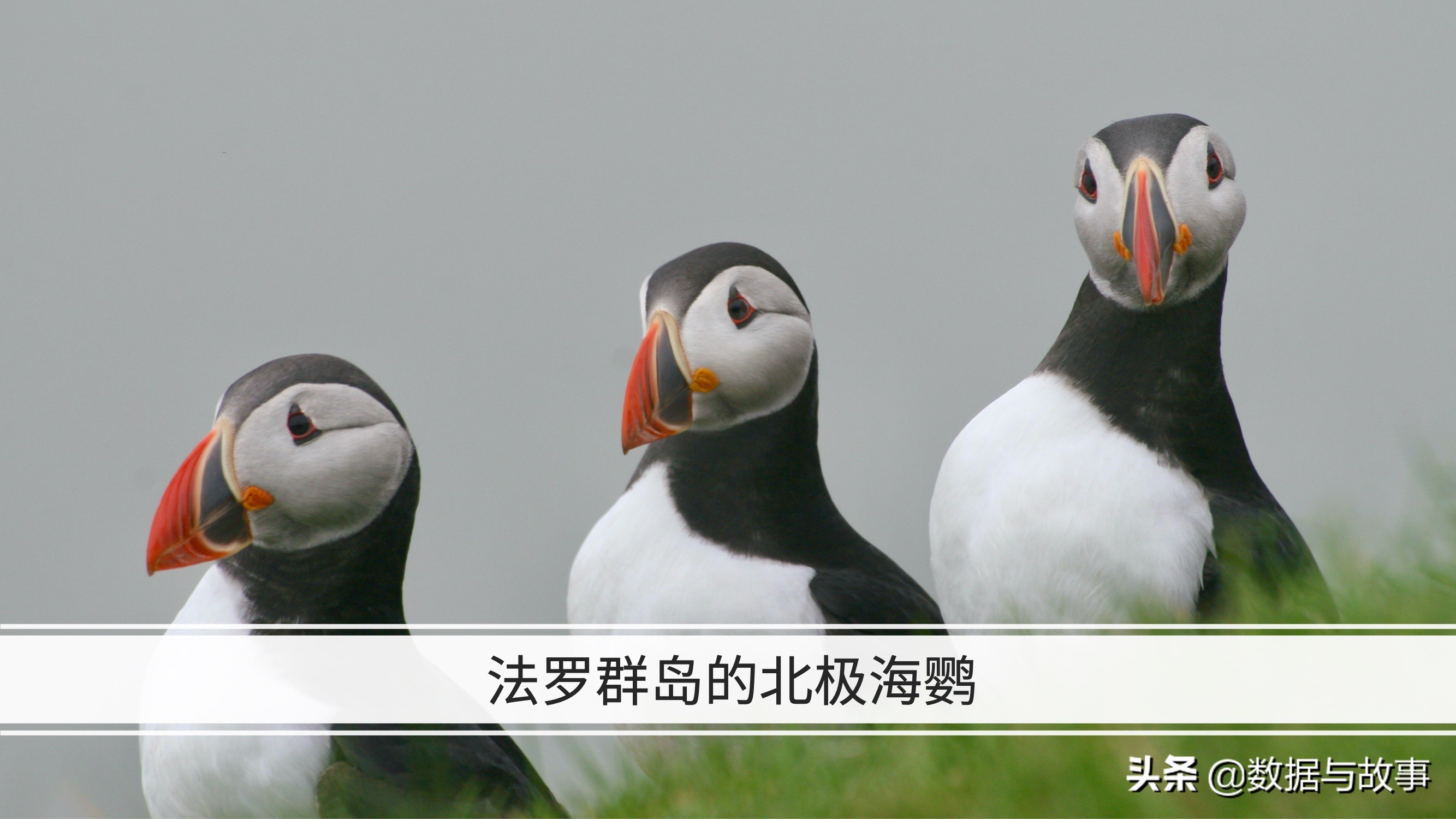 2024欧洲杯24强国家地理,地理欧洲杯