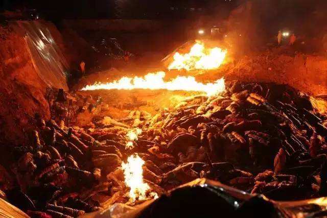 最好看的恐怖病毒爆发电影,十部最可怕的病毒电影