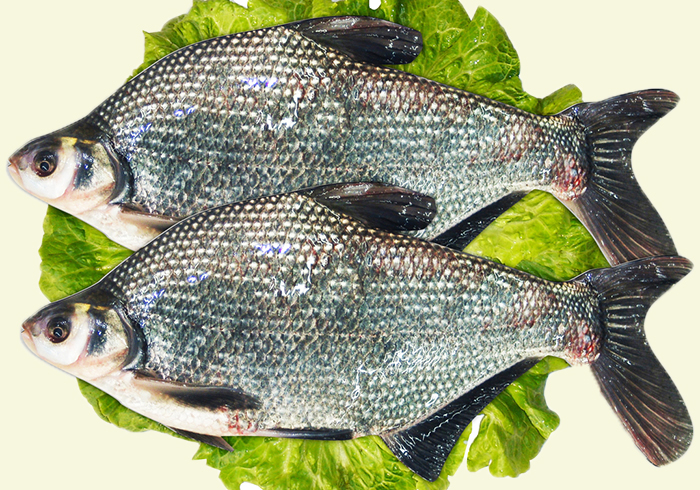 读《鱼丽》|诗经请你吃鱼，吃货能吃出3种诗意