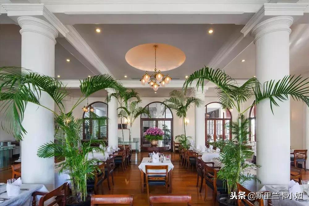 斯里兰卡首都科伦坡美食视频,斯里兰卡科伦坡菜