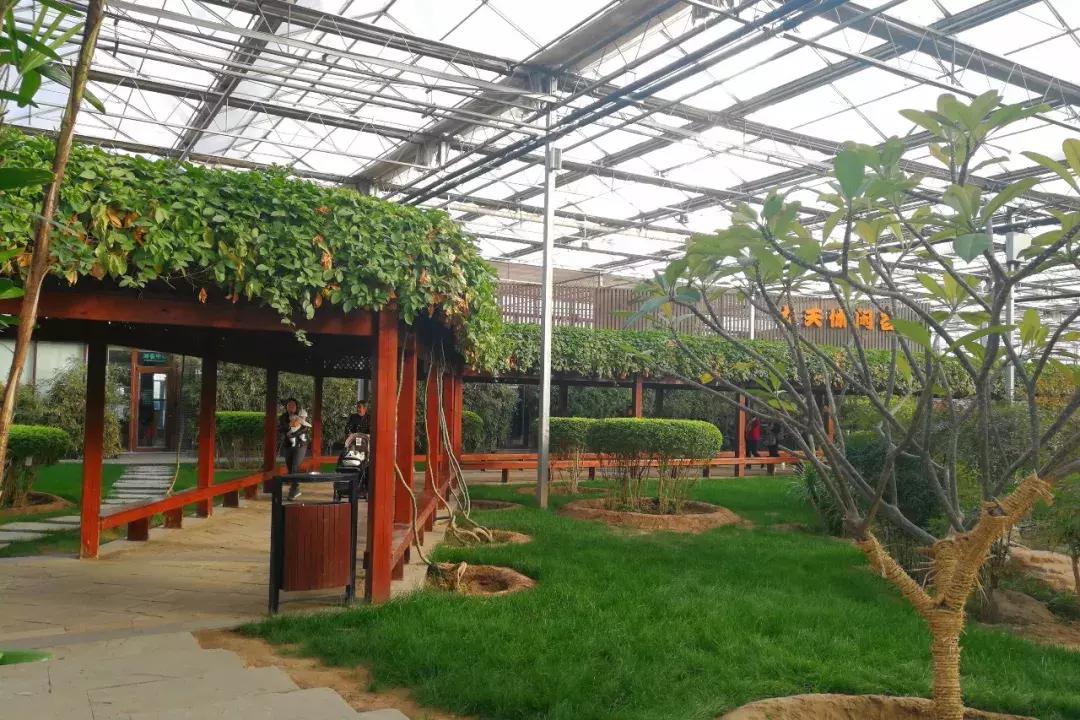 自驾游九天最佳路线图,九天休闲谷溜一圈