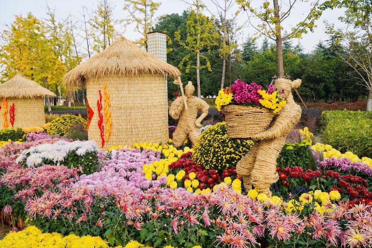 武汉市第40届菊展分展点,武汉市第三十五届金秋菊展