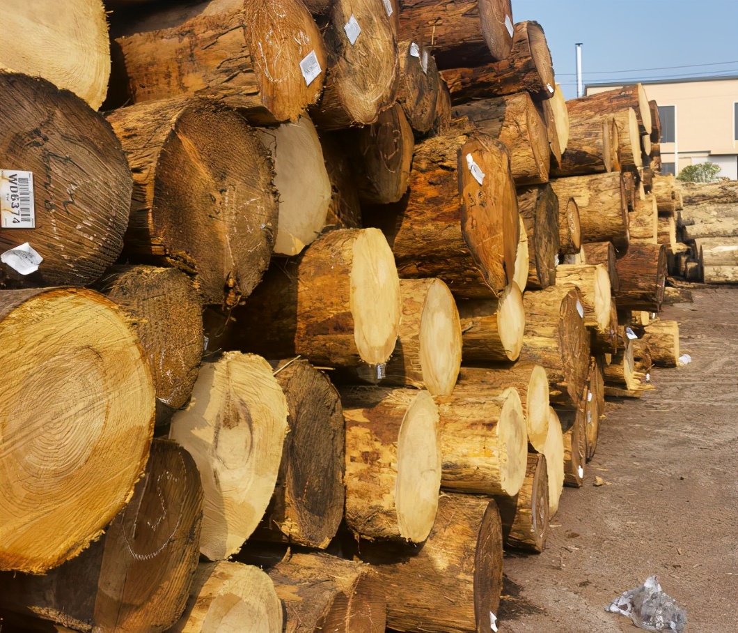 杉木桩户外寿命,如何有效预防杉木开裂