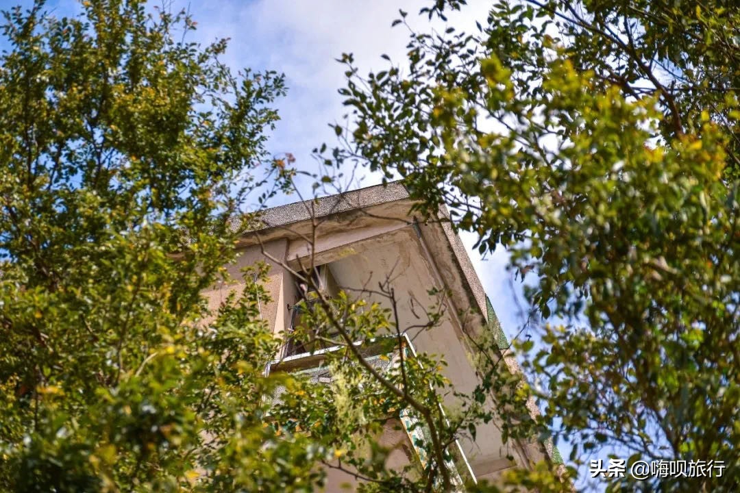 普陀旅游自由行攻略一日游,普陀小众海岛出游路线看完就出发