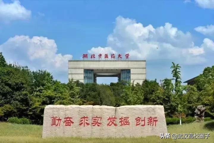 湖北中医药大学，是湖北省唯一一所高等中医药本科院校