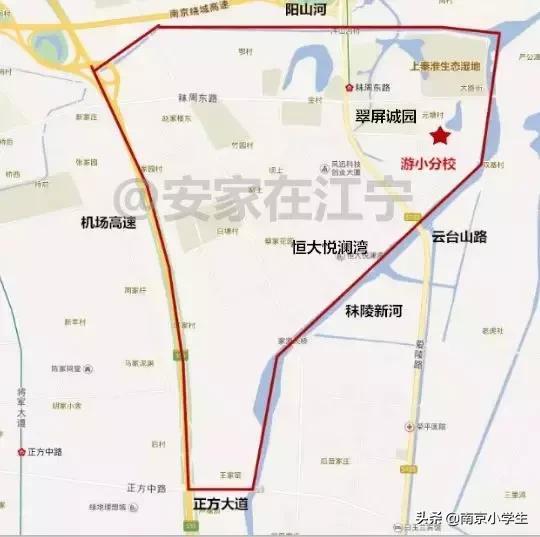 最新江宁开发区学校学区划分,学区曝光