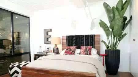 卧室内养花放哪些植物,什么花最适合放在卧室里养殖