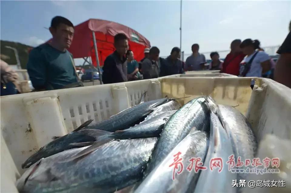 靠海吃海有什么好吃的,靠海吃海各类海鲜