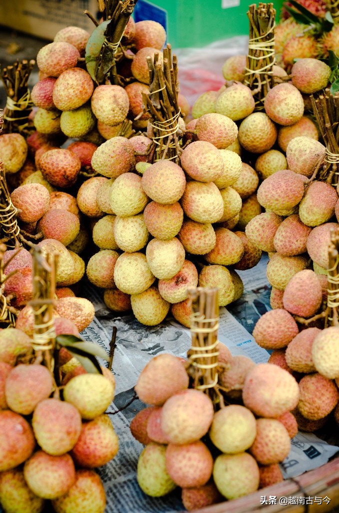 越南水果希望中国能解决销路,越南荔枝今年是否会冲击国内市场